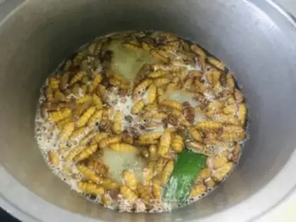 Make Fried silk step 0
