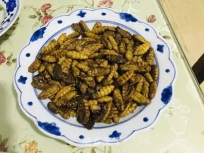 Make Fried silk step 4