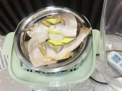Make Vacuated yellowfish step 3