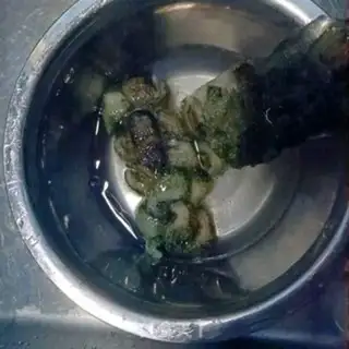 Make The sea cucumber step 2