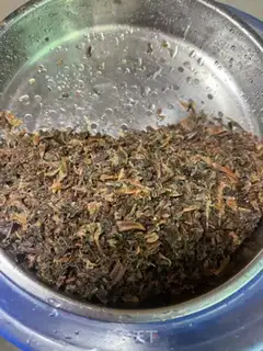 Make Plum plum step 0
