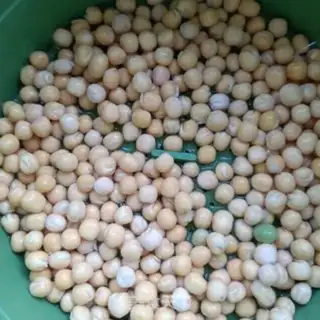 Make They grow their own peas step 2