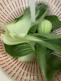 Make Shanghai char step 1