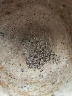 Make Black pepper cod step 1