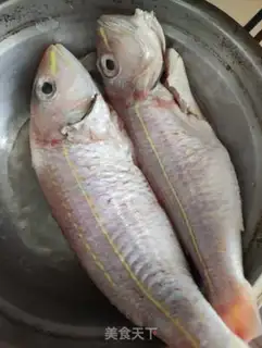 Make Red fish step 0