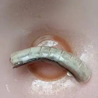 Make Steam eel step 0