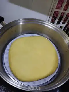 Make Gold lasagna step 12