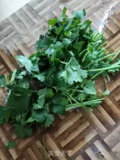 Make A mustard fragrance with a sprouts of grass step 3