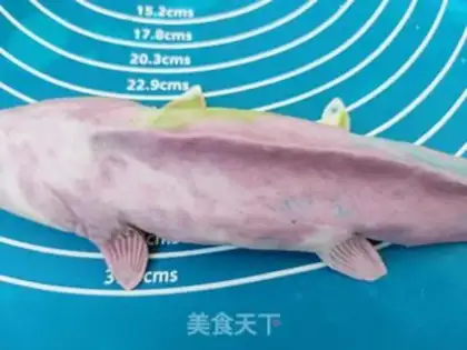 Make There are fish in years step 5