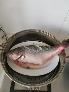 Make Vacuate herring step 4