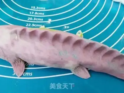Make There are fish in years step 6