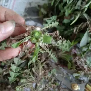 Make The bitter saucer step 1