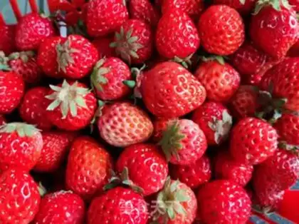 Make Homemade strawberry sauce step 0