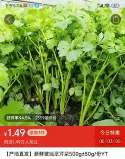 Make Lunch celery step 0