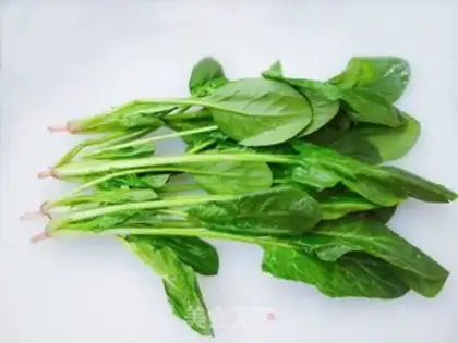 Make A spinach fan step 1