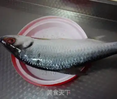 Make Silver dragonfish step 0