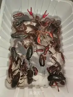 Make Spicy lobster step 0