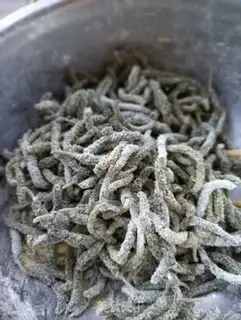 Make Shrimp makes trees step 3