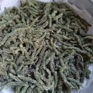 Make Shrimp makes trees step 6