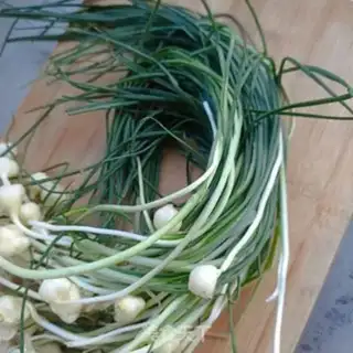 Make Wild onions step 1