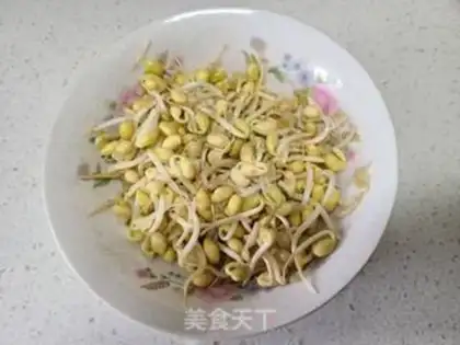 Make Soybean sprouts step 2