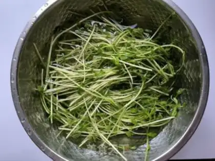 Make Cool pea seed step 1