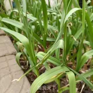 Make Garlic and thunder step 0