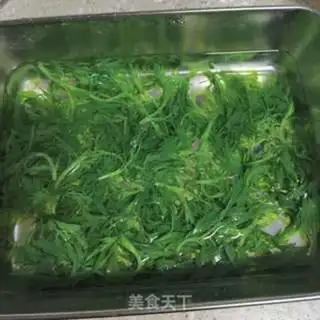 Make Alegrass step 2