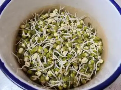 Make Green bean sprouts and fried eggs step 0