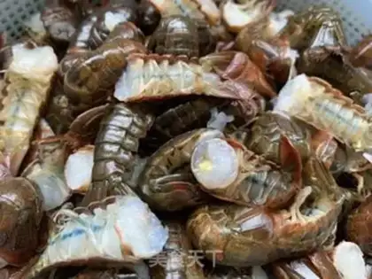 Make Red burning lobster tail step 0
