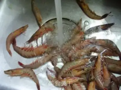 Make Saltwater live shrimp step 1