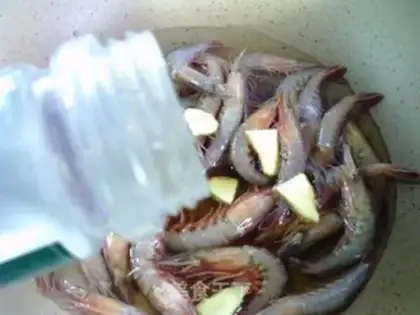 Make Saltwater live shrimp step 4