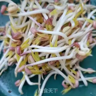 Make Green bean sprouts step 10