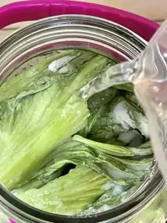 Make Pickles step 11