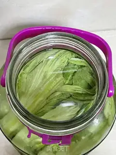 Make Pickles step 12