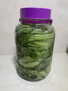 Make Pickles step 13