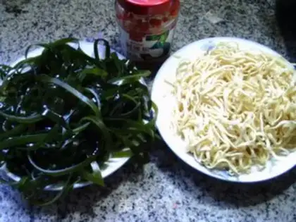 Make Seaweed wiring step 0
