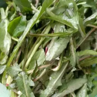 Make The curd sprouts step 1