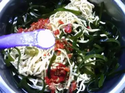 Make Seaweed wiring step 5