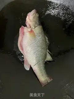 Make Thirteen slugs step 3