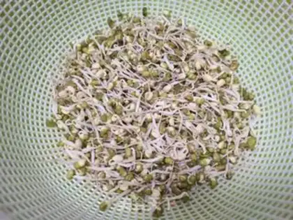 Make The green bean sprouts step 1