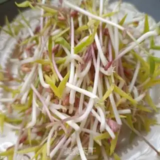 Make Scrambled bean sprouts step 3