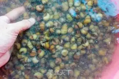Make The snail step 0