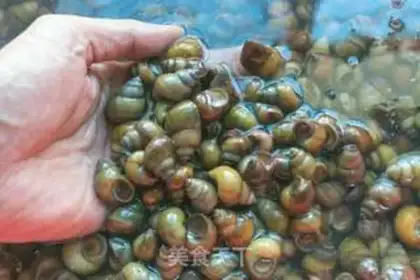 Make The snail step 1