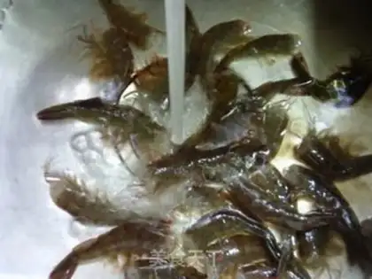 Make Shrimp-shrimp step 1