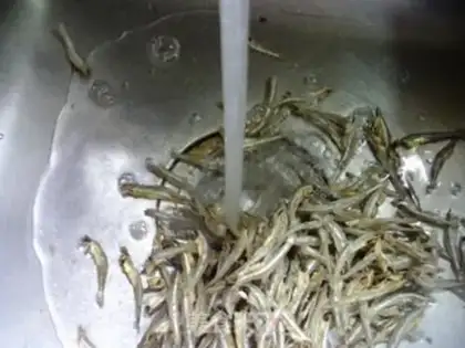 Make Pepper fried fish step 1