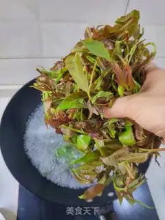 Make Eggs love sprouts step 1