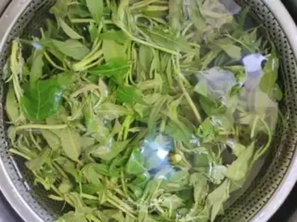 Make Eggs love sprouts step 3