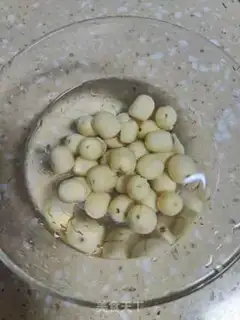 Make Silver Ears Spill step 1