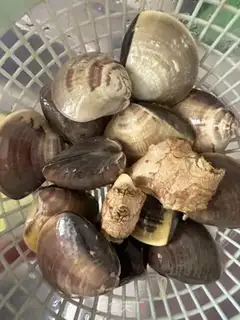 Make Lemon snail soup step 1